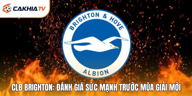 CLB Brighton